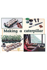 Leveled Reader 6pk Yellow (Levels 6-8) Making A Catepillar-9780763597962